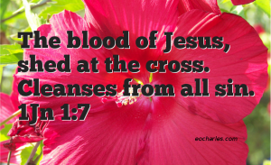 The Blood Of Jesus Cleanses