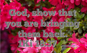 God, show that you are turning back their hearts.