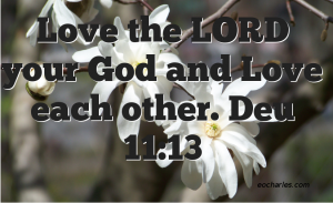 Love the LORD your God and Love each other.