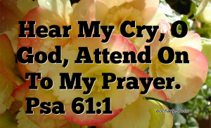 Hear my cry, O God