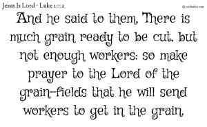And he said to them, There is much grain ready to be cut, but not enough workers: so make prayer to the Lord of the grain-fields that he will send workers to get in the grain.